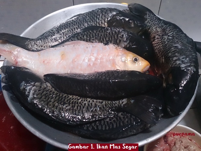 Resep Ikan Mas Arsik Masakan Khas Batak oleh Purnama Resep Ikan Mas Arsik Masakan Khas Batak oleh Purnama