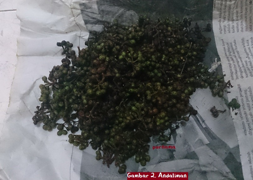 Resep Ikan Mas Arsik Masakan Khas Batak oleh Purnama Resep Ikan Mas Arsik Masakan Khas Batak oleh Purnama