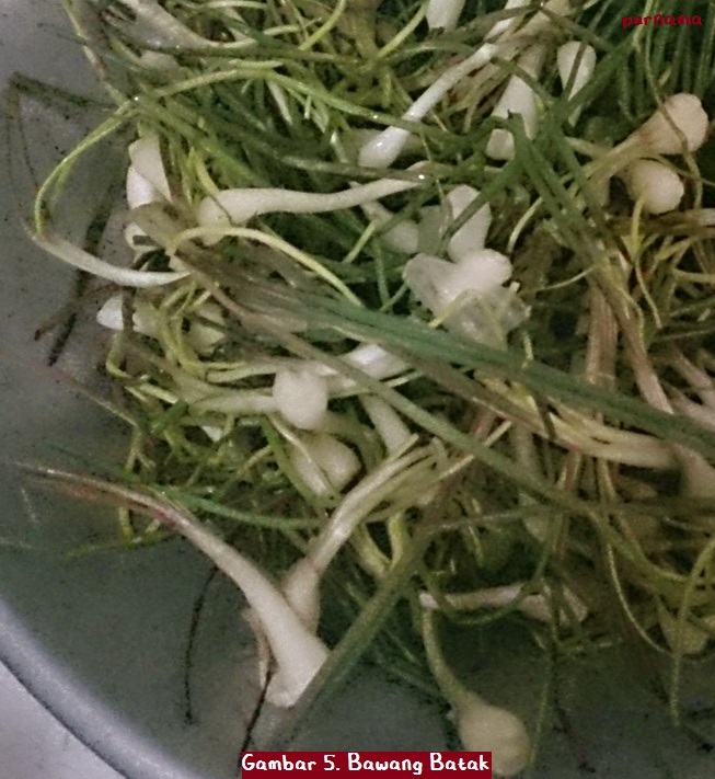 Resep Ikan Mas Arsik Masakan Khas Batak oleh Purnama Resep Ikan Mas Arsik Masakan Khas Batak oleh Purnama