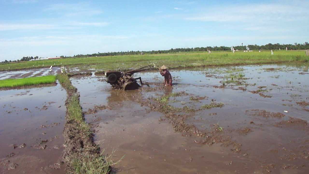Inovasi Petani : Modifikasi Handtraktor untuk Sawah Rawa Inovasi Petani : Modifikasi Handtraktor untuk Sawah Rawa