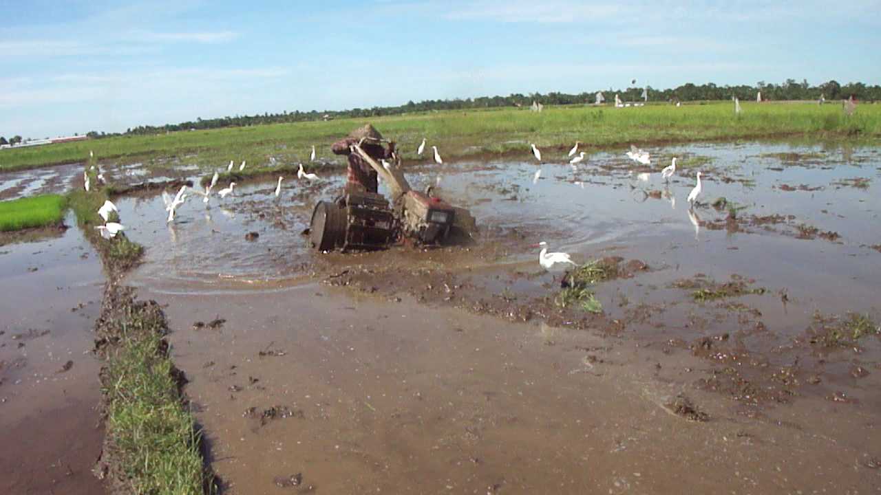 Inovasi Petani Modifikasi Handtraktor untuk Sawah Rawa Inovasi Petani Modifikasi Handtraktor untuk Sawah Rawa