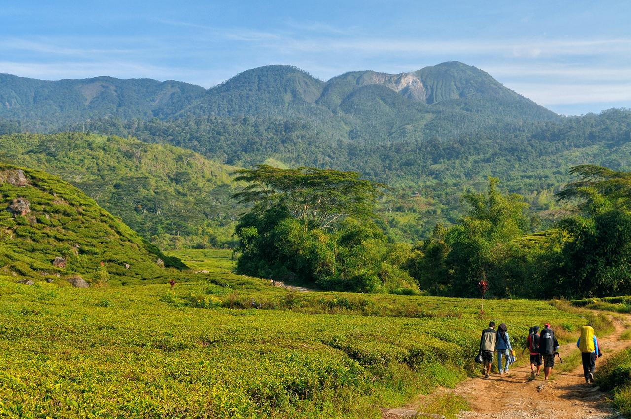 Menuju pintu rimba (Foto: Gurindam12)