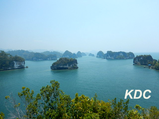 Gambar Pemandangan Bawah Laut Raja Ampat Gambar Pemandangan Bawah Laut Raja Ampat