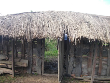 12 Gambar Rumah Honai Gani Gambar 12 Gambar Rumah Honai Gani Gambar