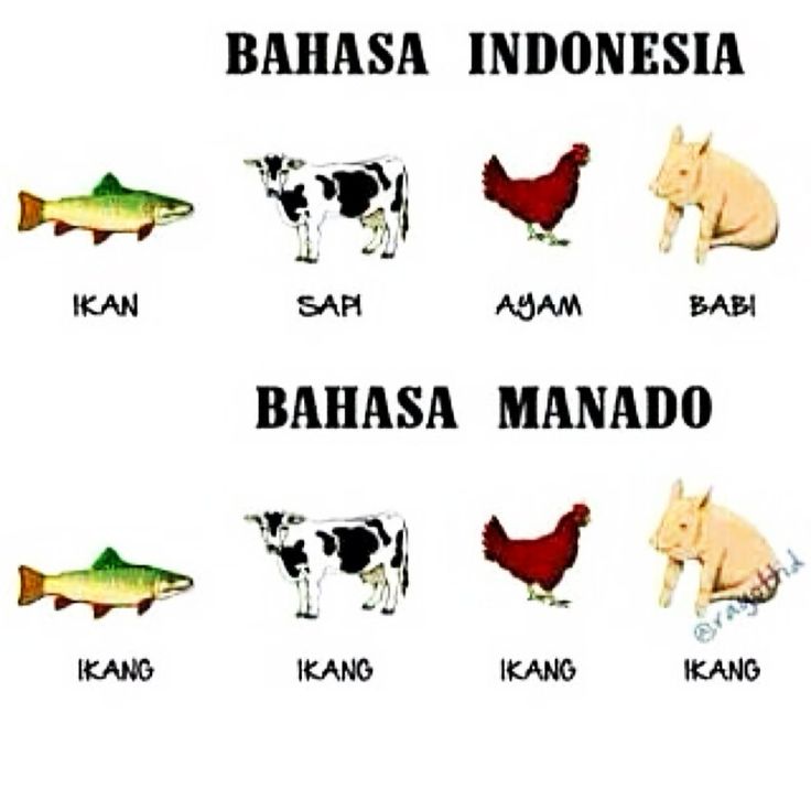 Gambar Bahasa Mdo Idiom Idiomnya Oleh Michael Sendow Gambar Bahasa Mdo Idiom Idiomnya Oleh Michael Sendow
