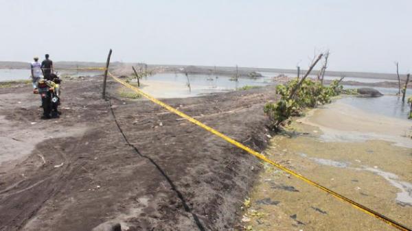 Penambangan pasir pantai di daerah itu menyebabkan air laut masuk ke darat dan menggenangi sebagian lahan sawah yang dikelola warga/Kompas Print