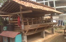 Tutorial Beternak Kambing Bebas Bau Prengus Halaman All