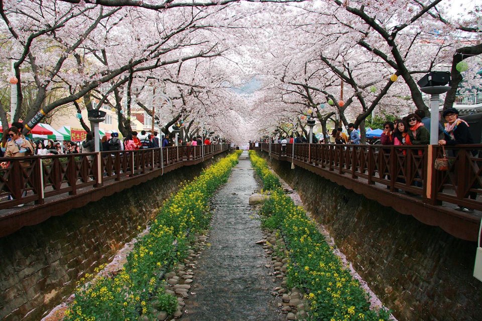 Южная корея в сентябре Южная корея в сентябре