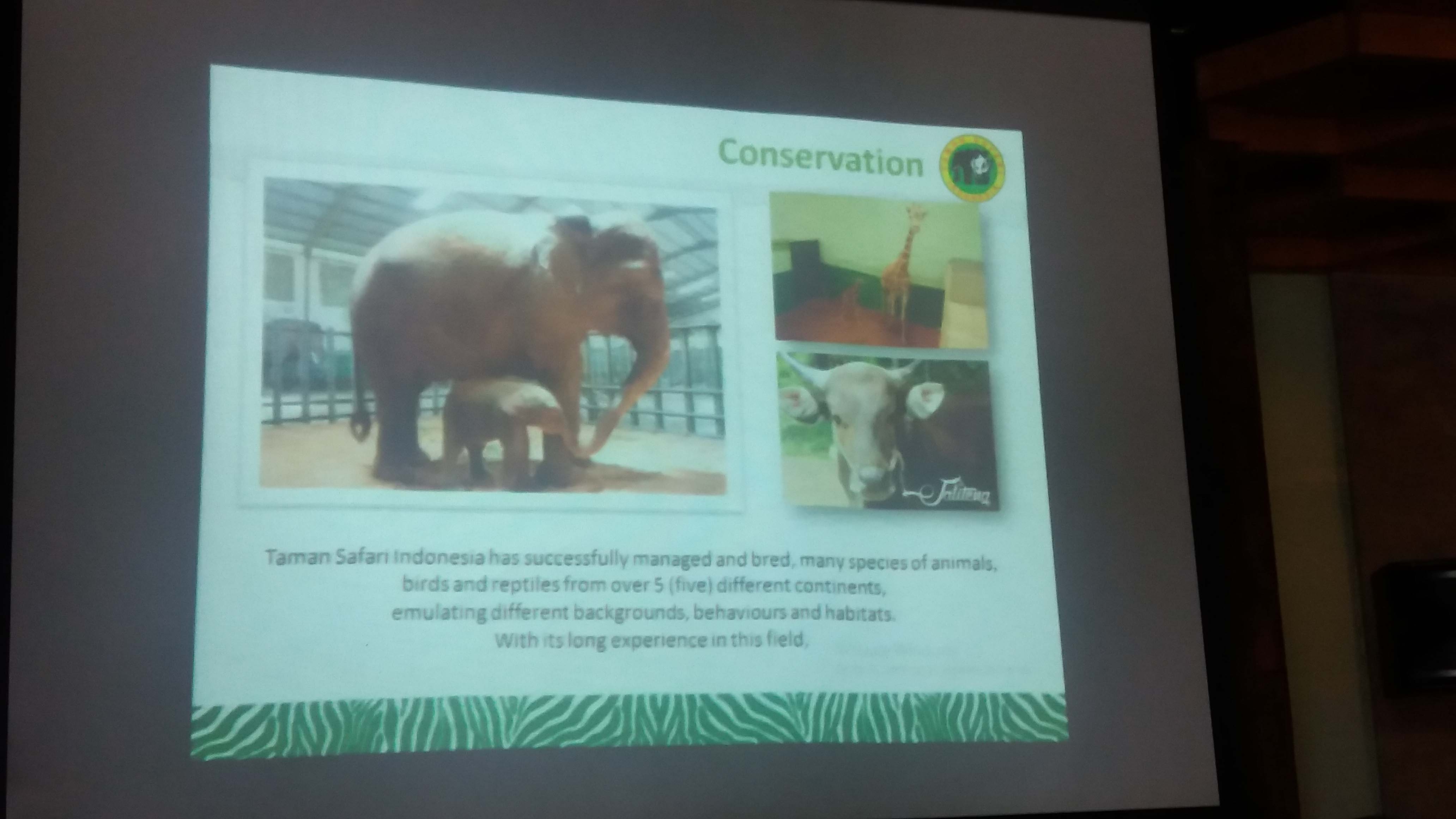 Tapi sebelum jalan jalan ke luar negeri jelajahi dulu yuk lokasi wisata di Indonesia termasuk Taman Safari Prigen yang ada di Jawa Timur Tapi sebelum jalan jalan ke luar negeri jelajahi dulu yuk lokasi wisata di Indonesia termasuk Taman Safari Prigen yang ada di Jawa Timur