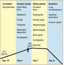 Membaca Tes Tifoid Tipus yang Tepat Cegah Over Under Membaca Tes Tifoid Tipus yang Tepat Cegah Over Under