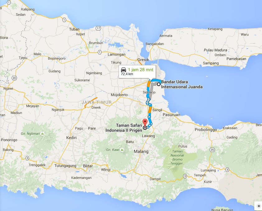 prigen 11 jpg 56b4205863afbd75062d4ee3