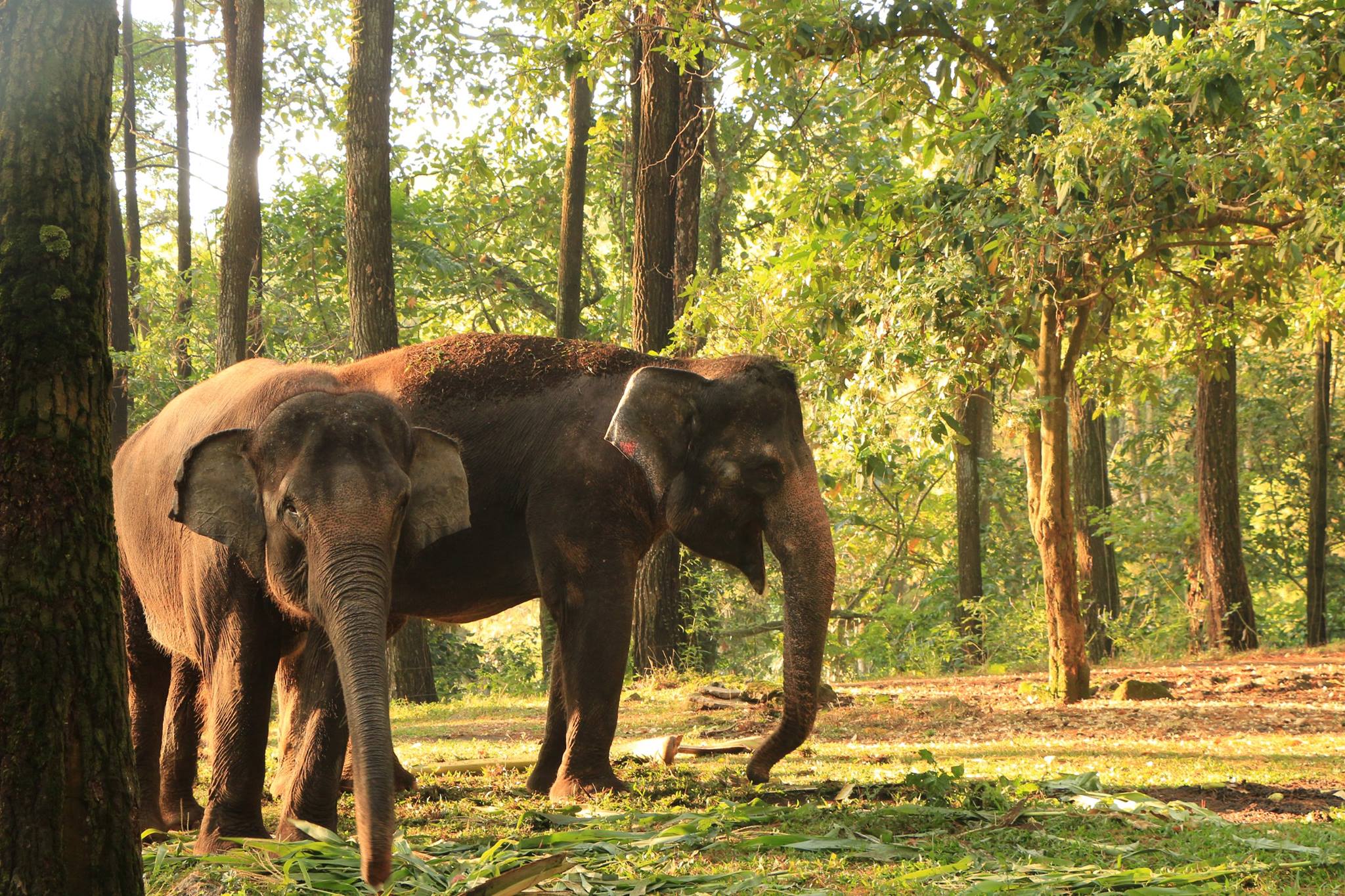 Download Villa Dekat Taman Safari Prigen Pics