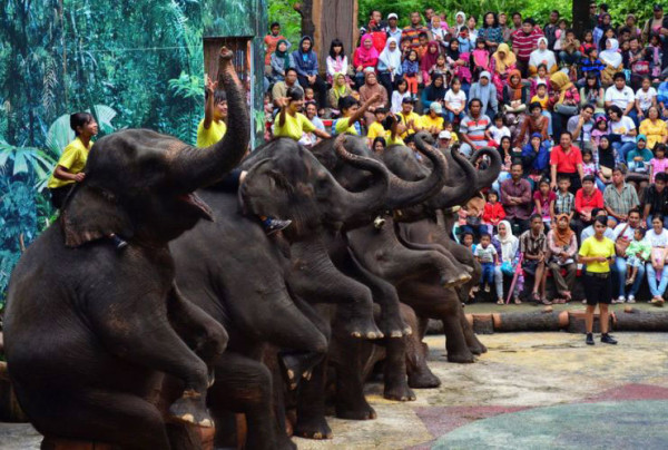 Inilah Keunggulan Taman Safari Prigen Dibanding Taman Inilah Keunggulan Taman Safari Prigen Dibanding Taman