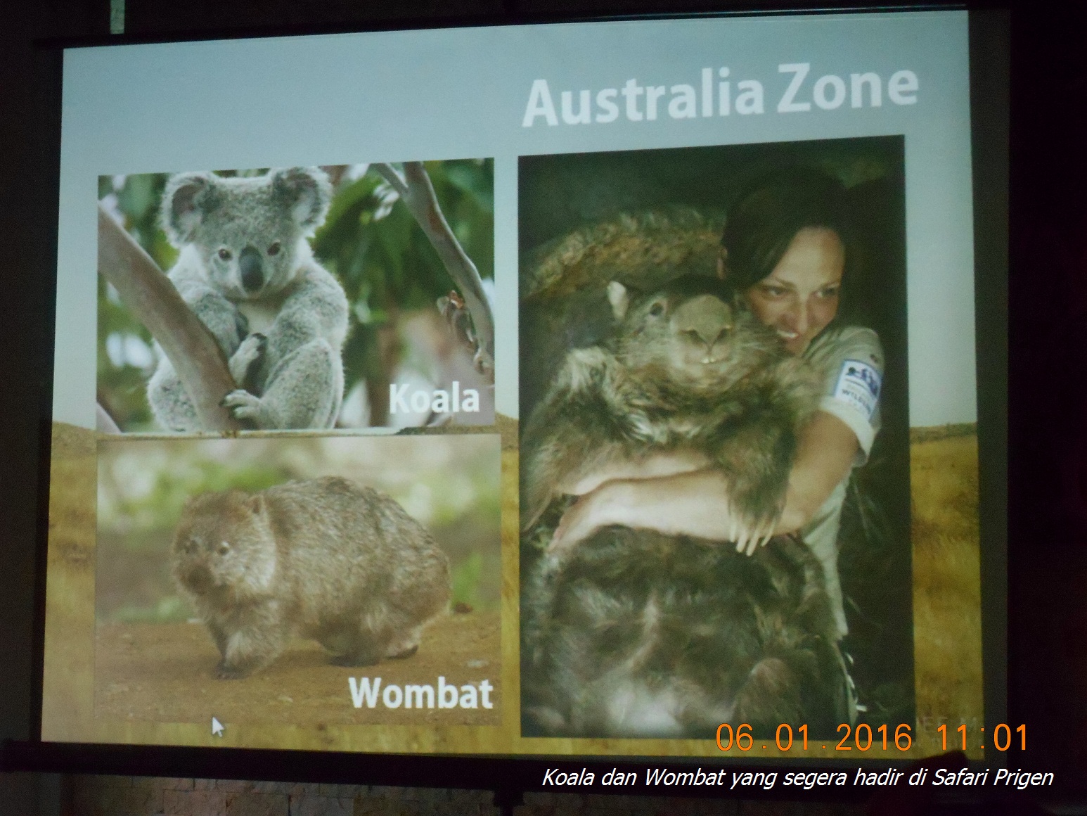 104 Gambar Hewan Lucu Bahasa Batak Hd Terbaru Gambar Hewan 104 Gambar Hewan Lucu Bahasa Batak Hd Terbaru Gambar Hewan