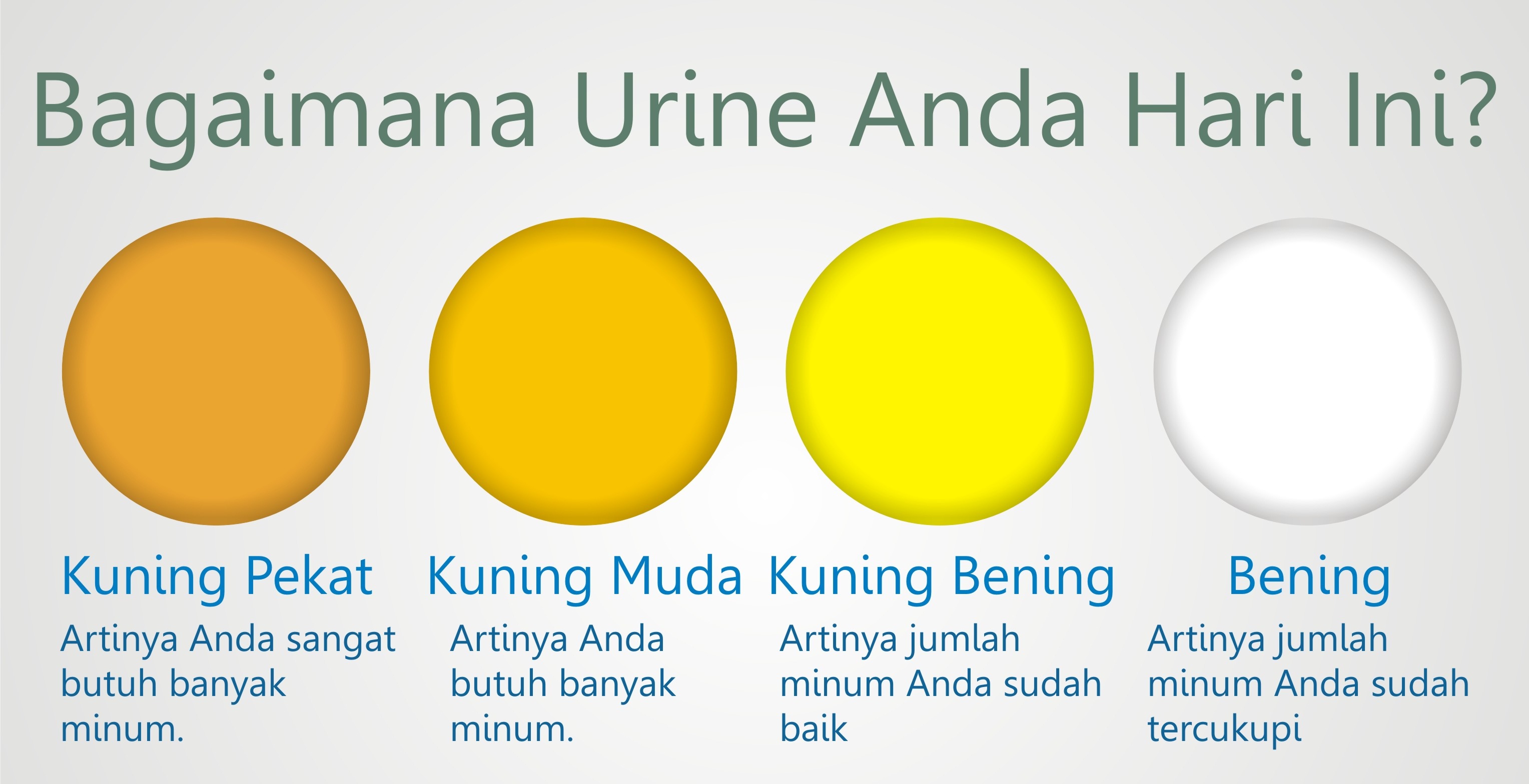 Berapa Sebenarnya Kebutuhan Air Kita Haruskah 2 Liter Sehari Oleh