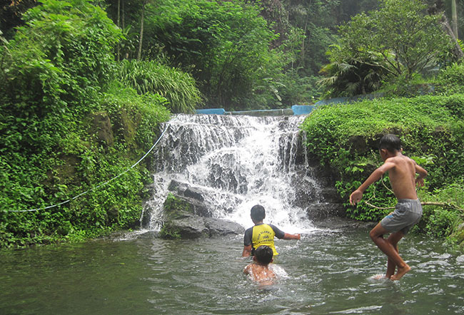 Sejuk dan Alaminya Mata Air Sumber Ringin di Desa Wringin Sejuk dan Alaminya Mata Air Sumber Ringin di Desa Wringin