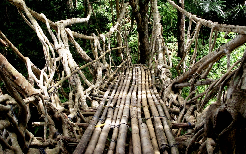 Jembatan Akar (Dokumentasi pribadi)