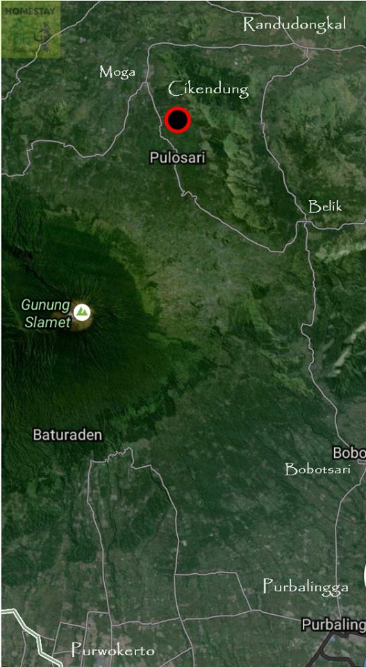 Desa Wisata Cikendung Pemalang Kompasiana Com Desa Wisata Cikendung Pemalang Kompasiana Com