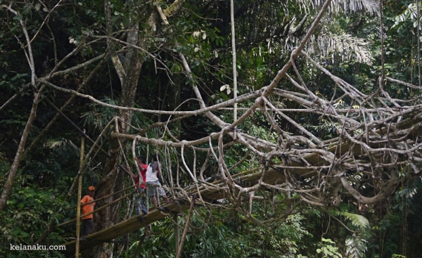 Jembatan Akar di Baduy
