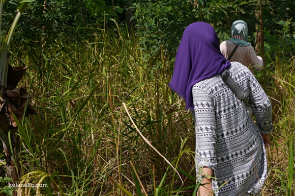 Menerobos semak-semak mencari jalan pintas
