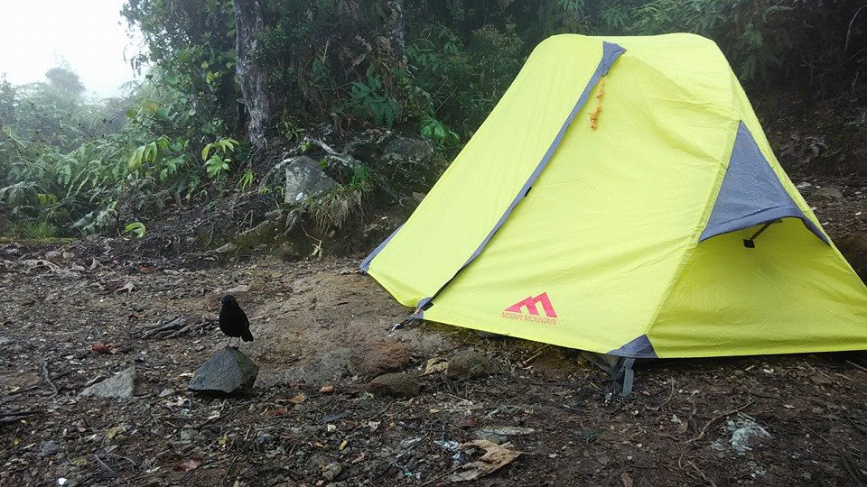 Tenda dijaga burung jalak Sumatera di pos Peninjauan (dokpri)