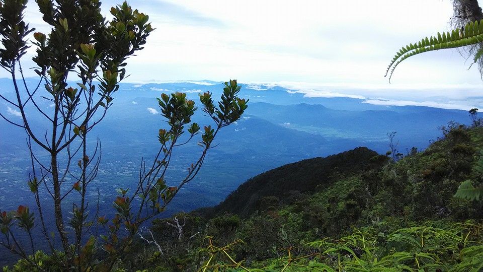 Pemandangan di trek antara pos Peninjauan menuju Telaga (dokpri)