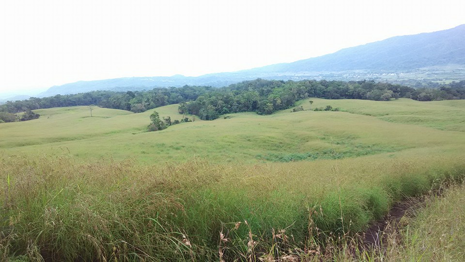 Sabana Sembalun menuju Pos 1 (dokpri)