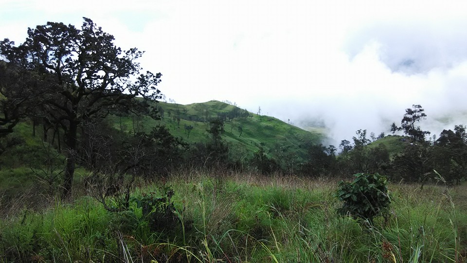 View di trek menuju bukit terakhir sebelum Plawangan Sembalun (dokpri)