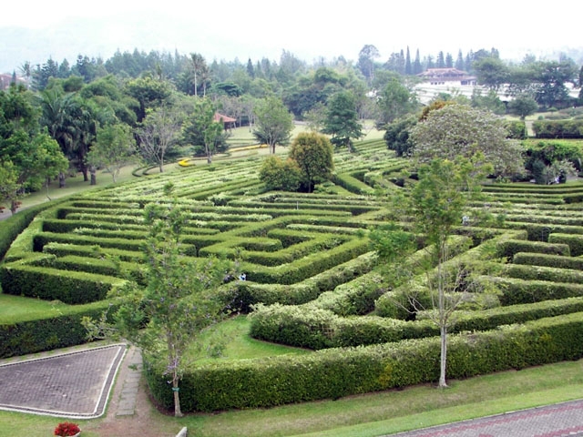 maze-5727216bec967326127049ca.jpg