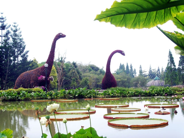 taman-air-2-572724f49593730d12efe8dc.jpg