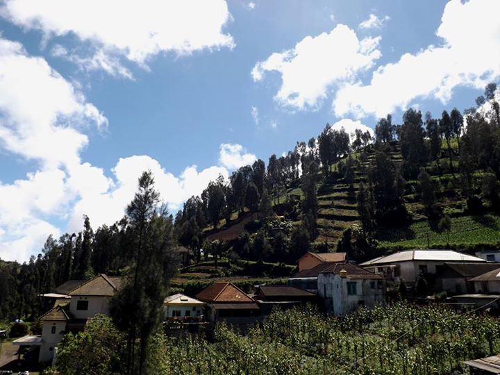 Gambar 2. Kebun Sayur di Ngadiwono; Sumber: Dokumentasi Peneliti