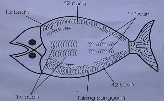 Struktur duri pada bandeng ǀ Sumber Gambar: Pusat Penyuluhan Kelautan dan Perikanan