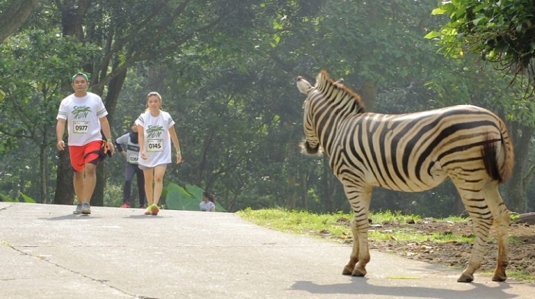Selfie selagi olah raga lari |Foto: Taman Safari Indonesia 2