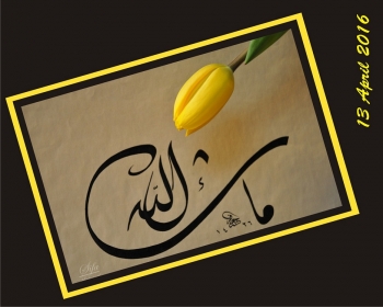 Cerpen Kaligrafi Bunga Tulip Halaman All Kompasiana Com Cerpen Kaligrafi Bunga Tulip Halaman All Kompasiana Com