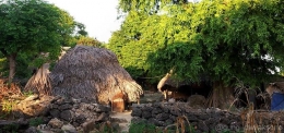 Gambar 5. Rumah Tradisional Suku Sabu di Pulau Raijua; Sumber: Dokumentasi Peneliti