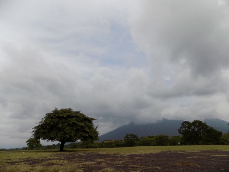 Dok. Pri | Padang savana Bekol yang di miliki latar belakang gunung