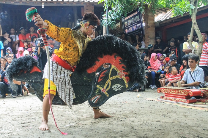 25 Inspirasi Keren Celeng Jaranan Asli The Toosh 25 Inspirasi Keren Celeng Jaranan Asli The Toosh