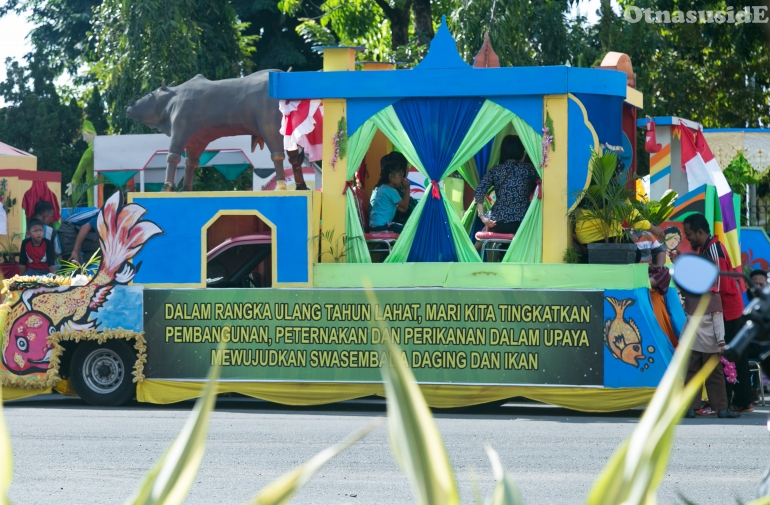 Sapi jalan di Lahat