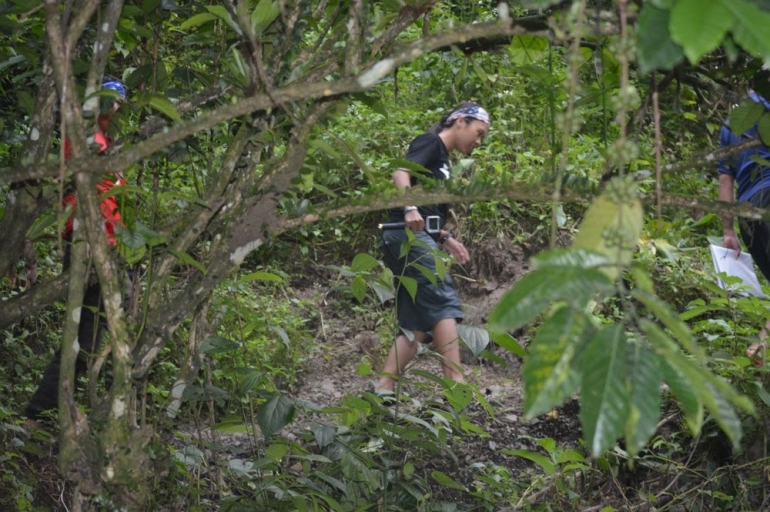 Perjalanan melewati hutan kecil