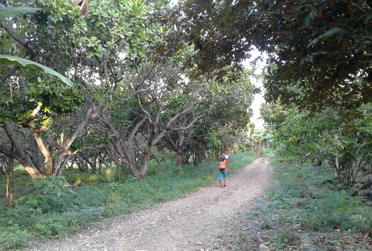 Jalan panjang si ibu (dok.yayat)