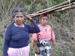 Ibu-ibu juga mencari kayu (dok.yayat)