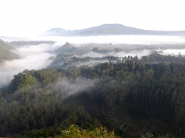 Gumpalan kabut pagi menyelimuti hutan Tebing Keraton (dokpri)
