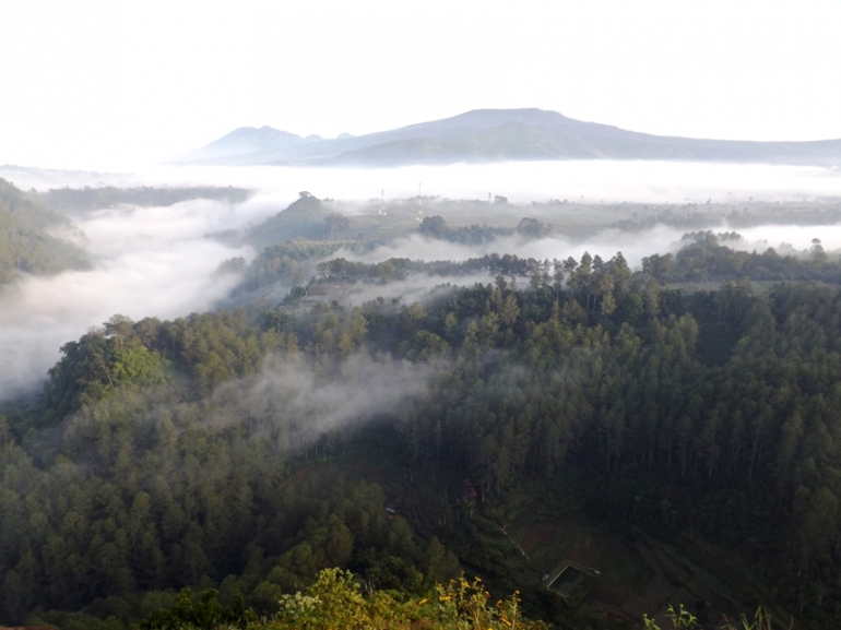 Gumpalan kabut pagi menyelimuti hutan Tebing Keraton (dokpri)