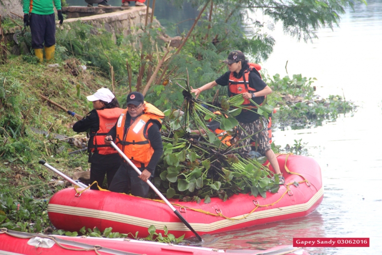 Putri (kanan) menurunkan muatan eceng gondok ke pinggir situ dari atas perahu karet. (Foto: Gapey Sandy)