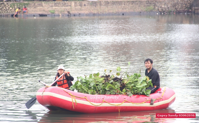 Viera (17) tengah mendayung perahu karet penuh bermuatan eceng gondok siap buang. (Foto: Gapey Sandy)