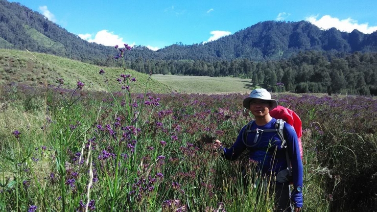 Menikmati keindahan Verbena di Oro-oro Ombo. Foto: Sutomo Paguci.