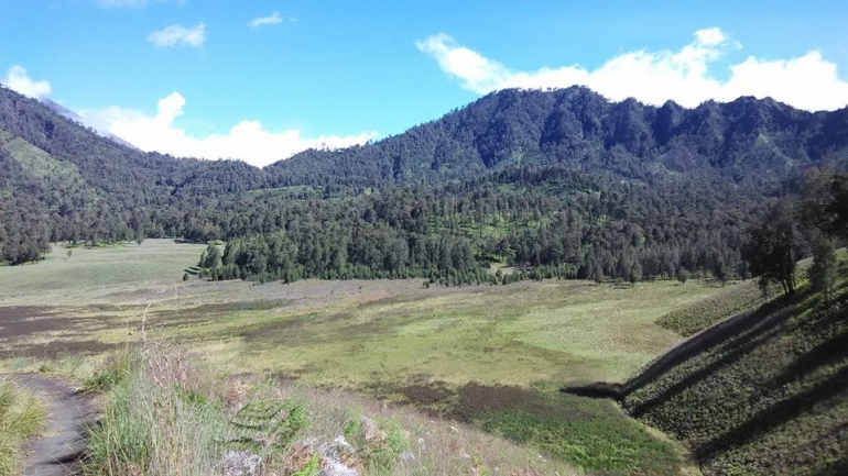 Oro-oro Ombo dilihat dari bukit setelah Tanjakan Cinta. Foto: Sutomo Paguci.