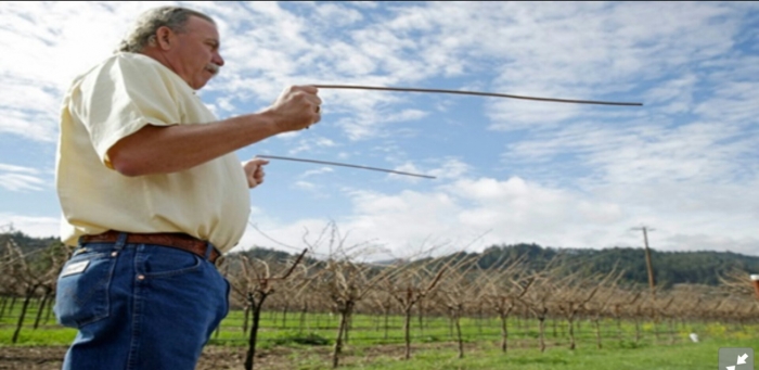 SALAH SATU CARA SEDERHANA MENDETEKSI SUMBER AIR TANAH (SUMBER: SUMBERBORNUSANTARA)