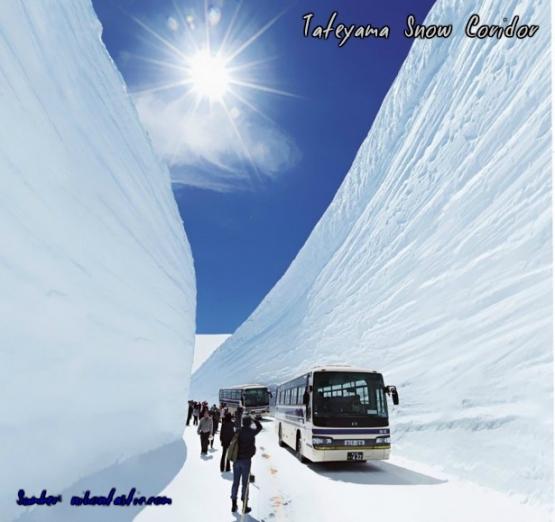 Sumber: travelsandliving.com