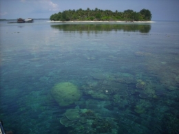 Kepulauan Karimunjawa. Indah. Foto diambil ketika Ekspedisi Corallium X. (Dokumentasi MDC dan pribadi)